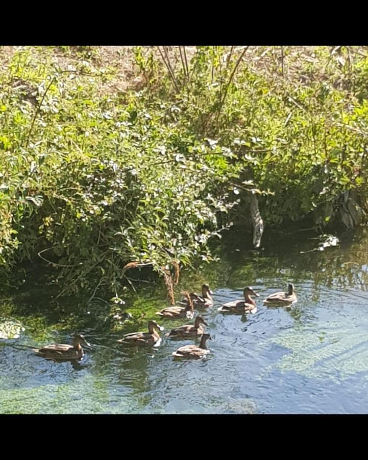 Les Gites De Ninon Moult Esterno foto